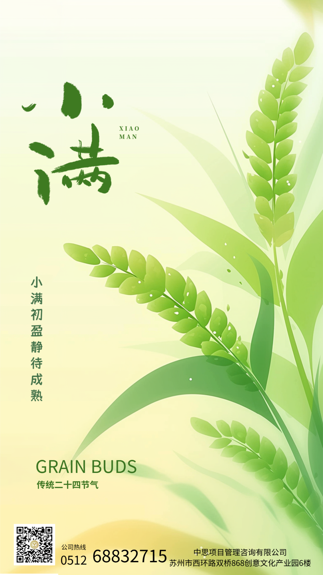 中思咨询|看更高，去更远，盈而未满